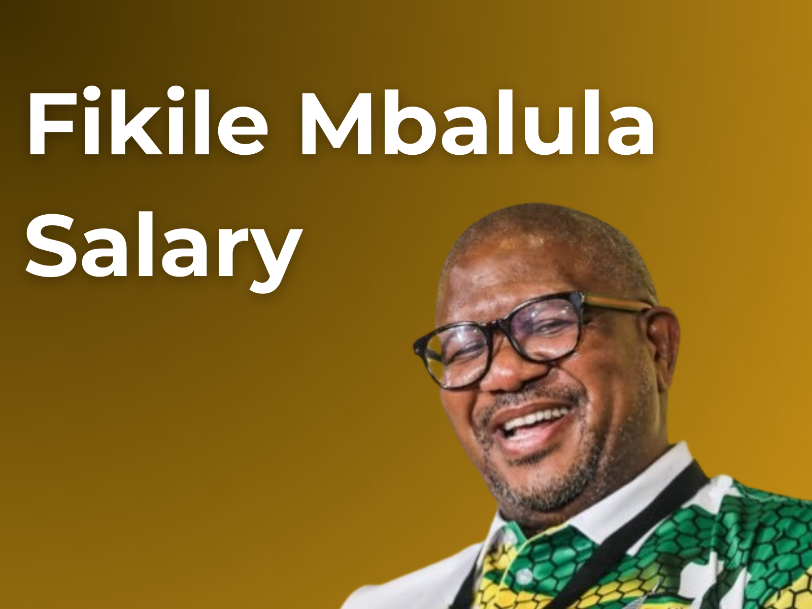 Fikile Mbalula Salary Net Worth In Rands InquireSalary