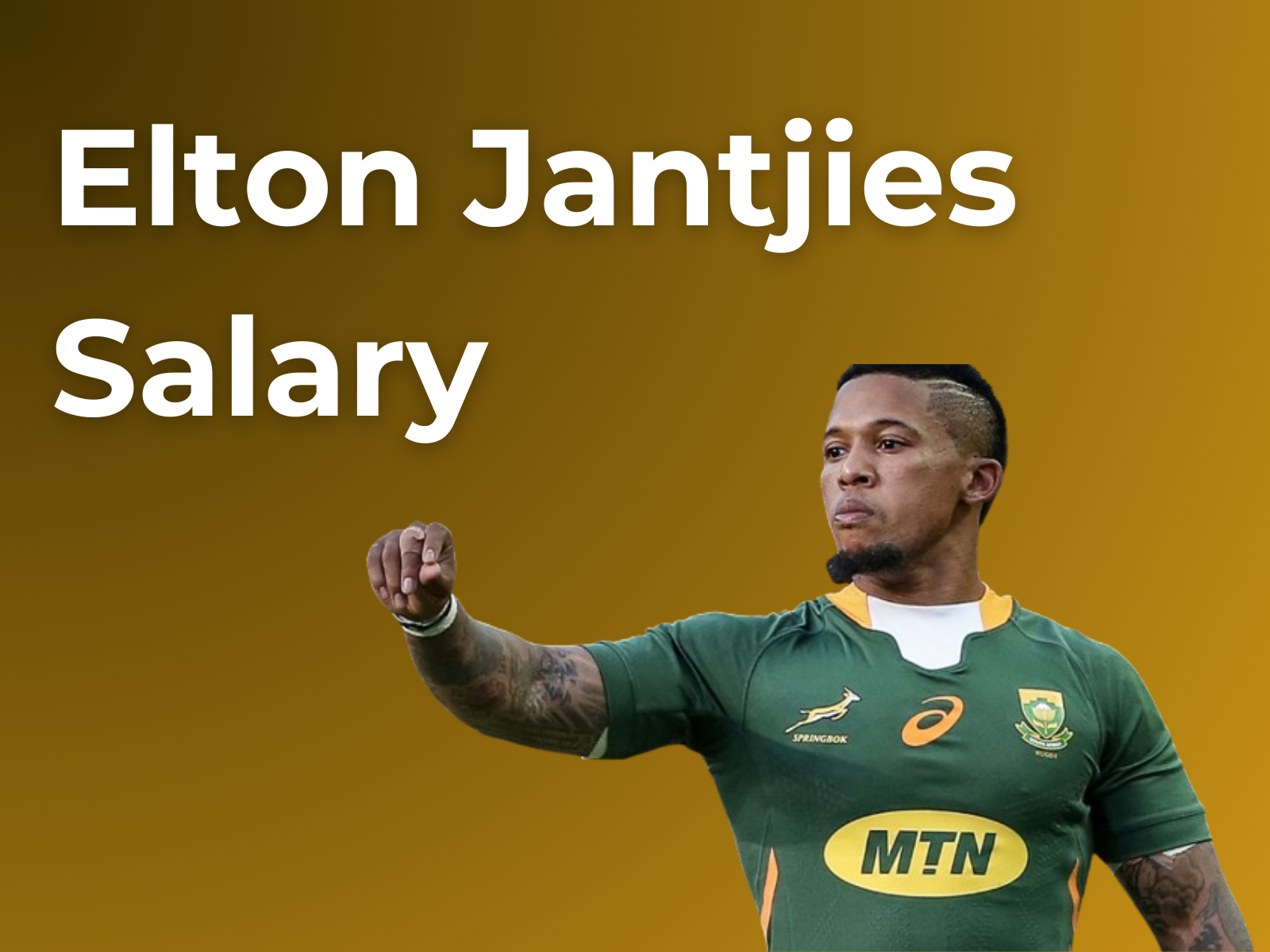 Elton Jantjies Salary & Net Worth & Assets in Rands 2025