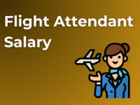 Flight Attendant Salary