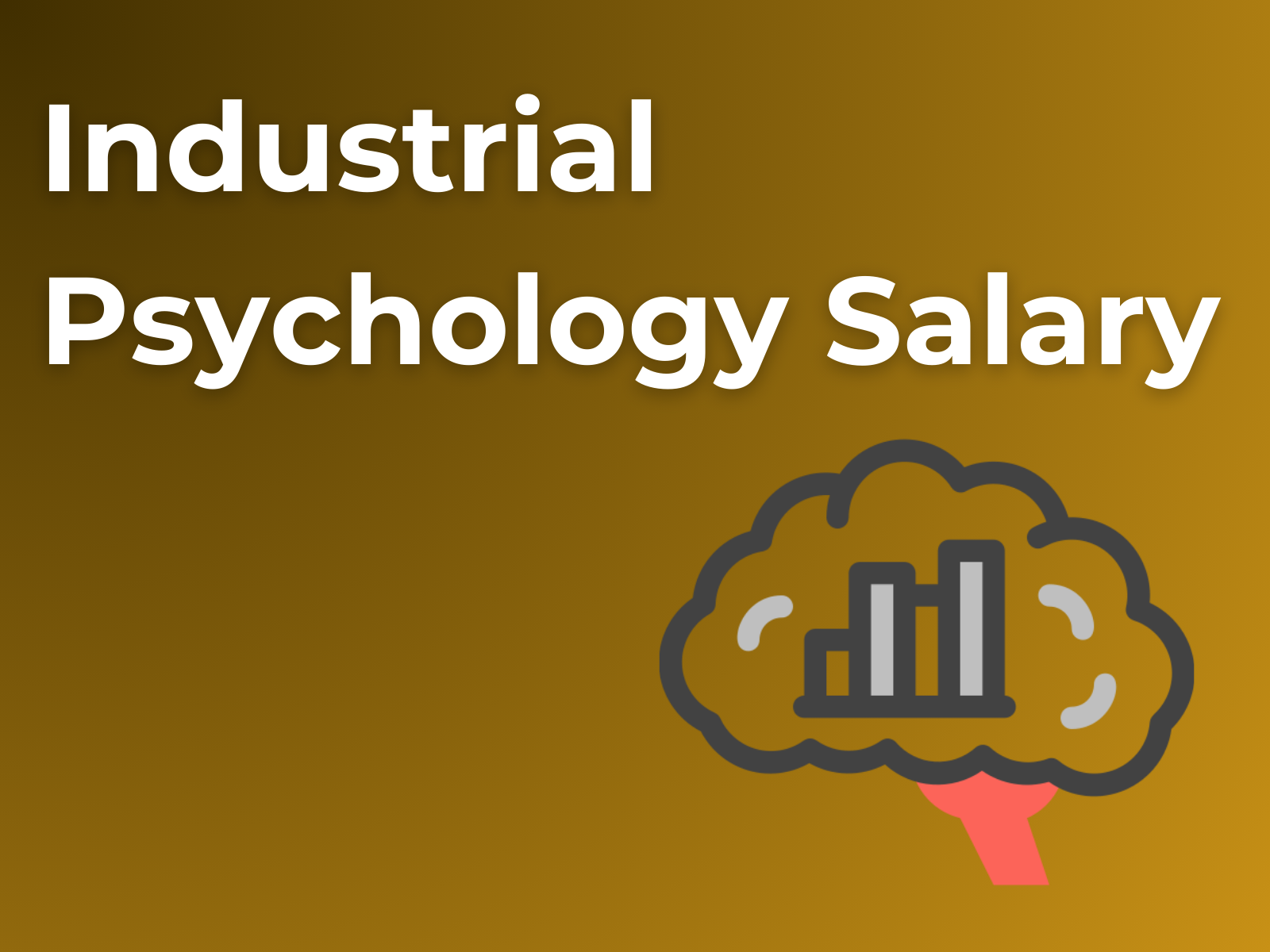 industrial-psychology-salary-in-south-african-rands-2024