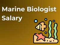 Marine Biologist Salary